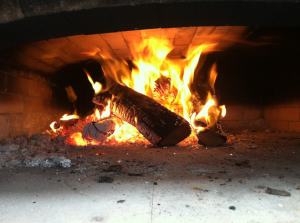 741147_240165979449001_1408279297_o