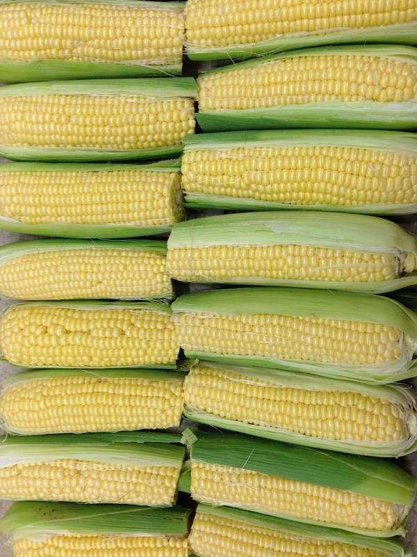 corn