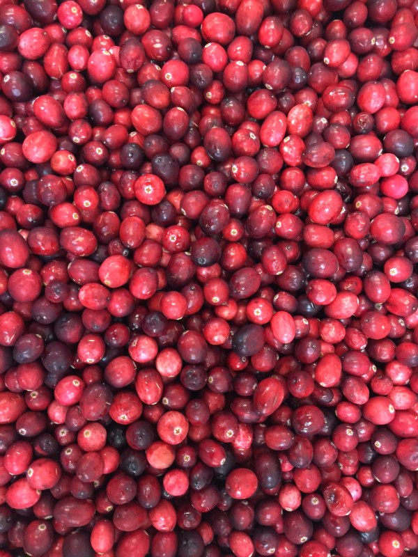 cranberries