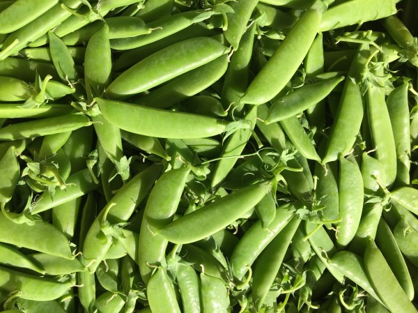 Sugar Snaps