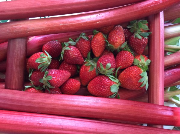 Strawberries and Rhubarb