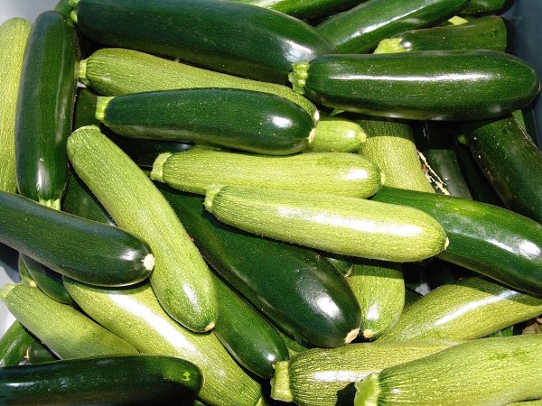 Green Zucchini