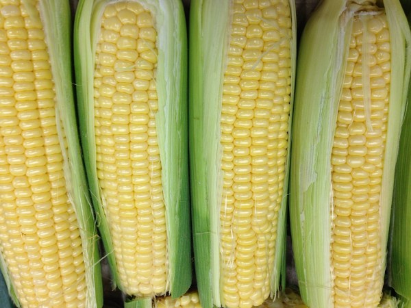 sweet corn