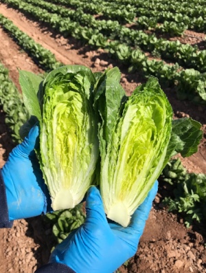 73cf86f5-242d-42b8-bc52-8d4c80e0d48d