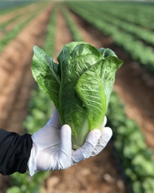 767f69c5-8d55-485f-93e6-2d8954504aa1