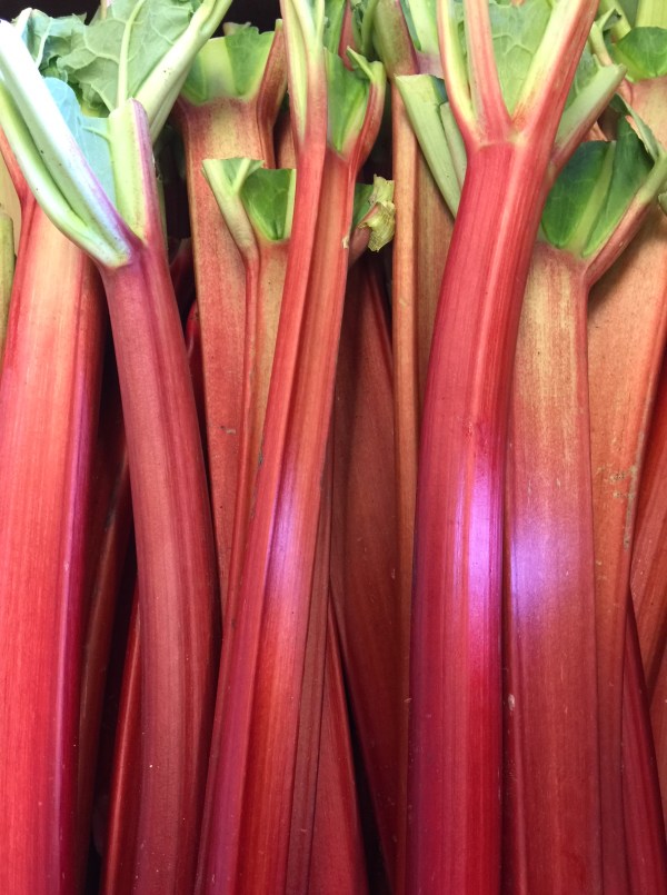 rhubarb