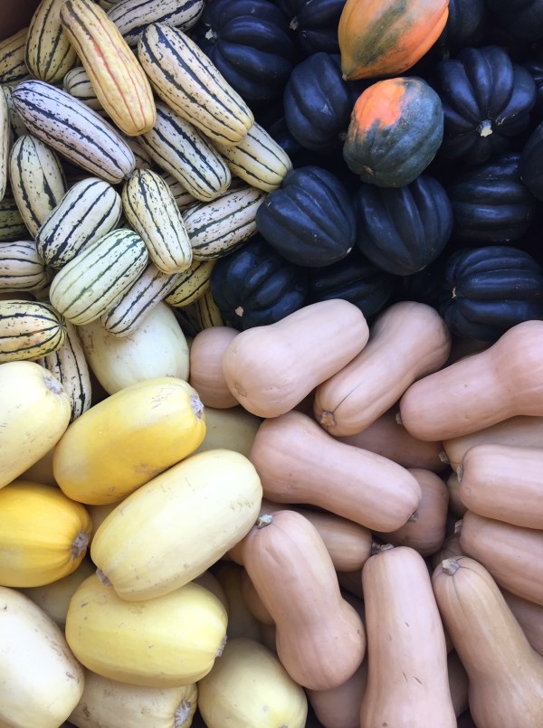 winter squash