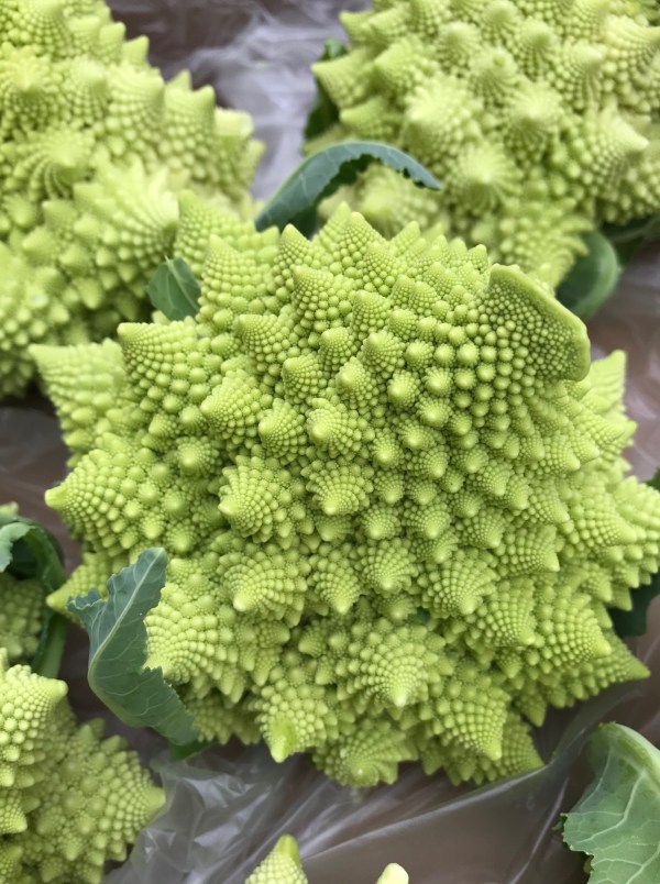 romanesco